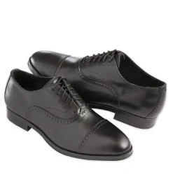 Cole Haan Dawson Wingtip Oxford Shoes