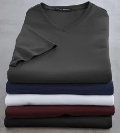 Robert Barakett Georgia V-Neck Short Sleeve Tee Shirt
