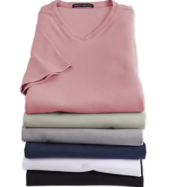 Robert Barakett Georgia V-Neck Short Sleeve Tee Shirt