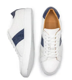 Zelli Olympias Crocodile Trim Calfskin Sneaker