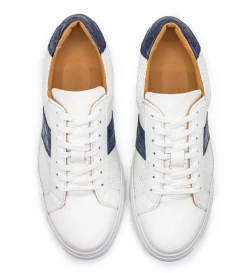 Zelli Olympias Crocodile Trim Calfskin Sneaker